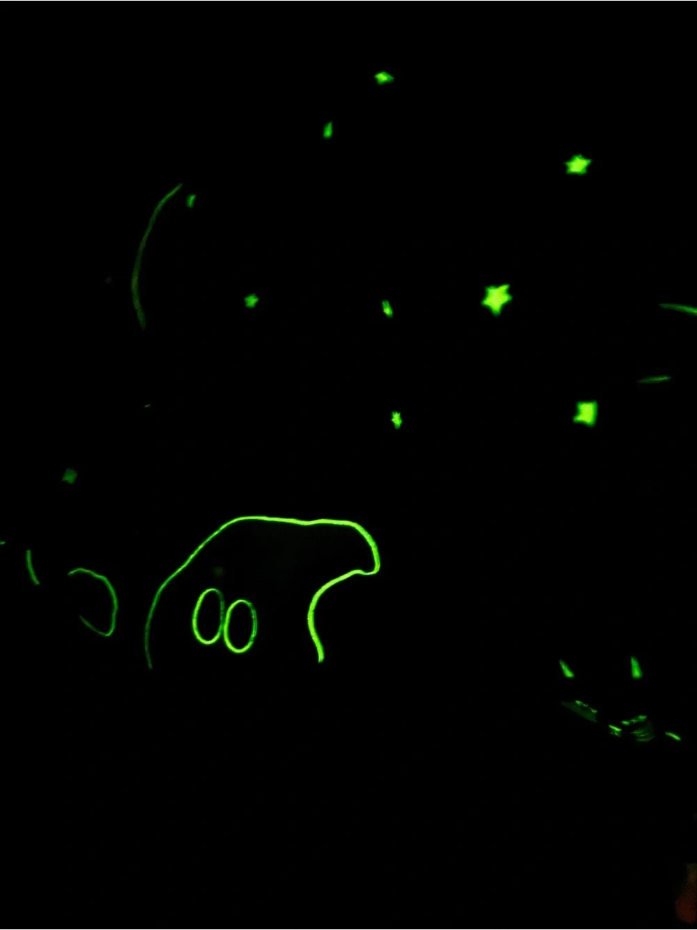 Avon Glow In The Dark Halloween Oval Tablecloth 56x84 Cat Jack O Lantern Ghosts
